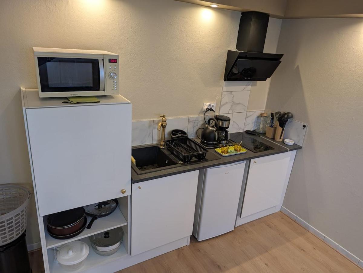 Appartement Verdoyant Au Bord Du Lac Leman Entre Evian Et Thonon Dans Une Villa Publier Kültér fotó